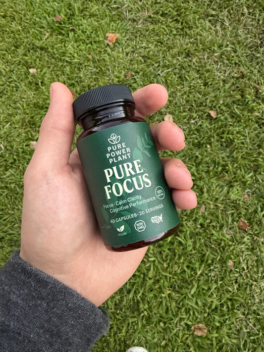 Pure Focus – Calm, Clear Mental Focus (No Jitters)